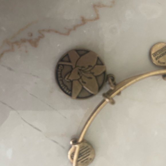 5 Alex and Ani bracelets - Picture 2 of 10